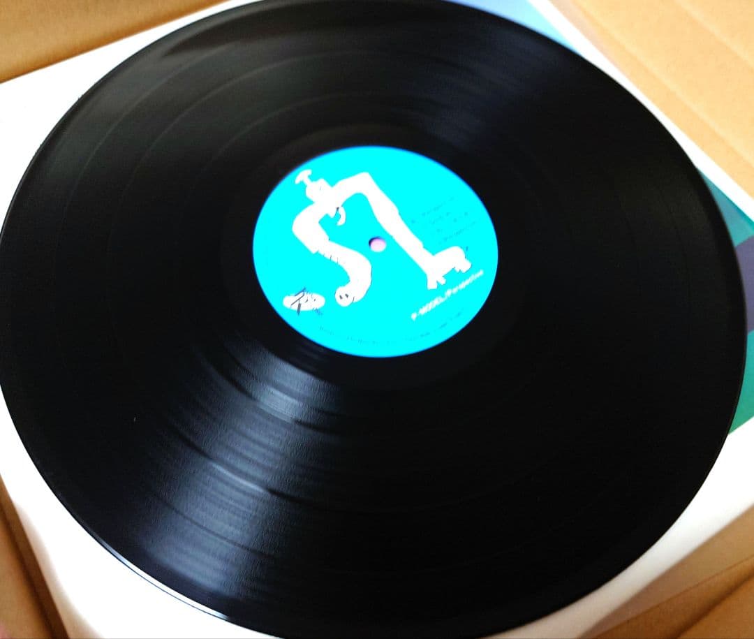 P-MODEL Perspective 帯付 JAL-19