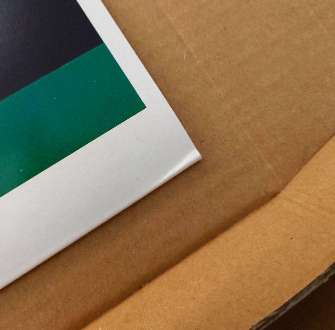 P-MODEL Perspective 帯付 JAL-19