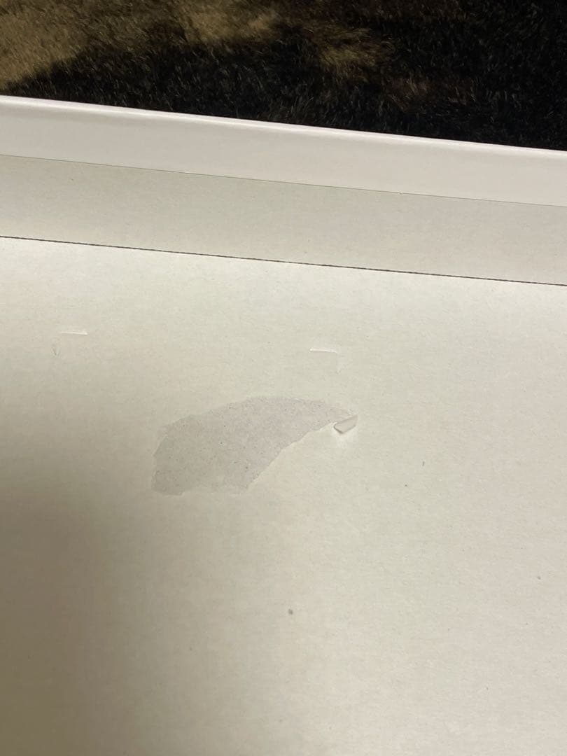 【新品】　REPRONIZER レプロナイザー ドライヤー 2D