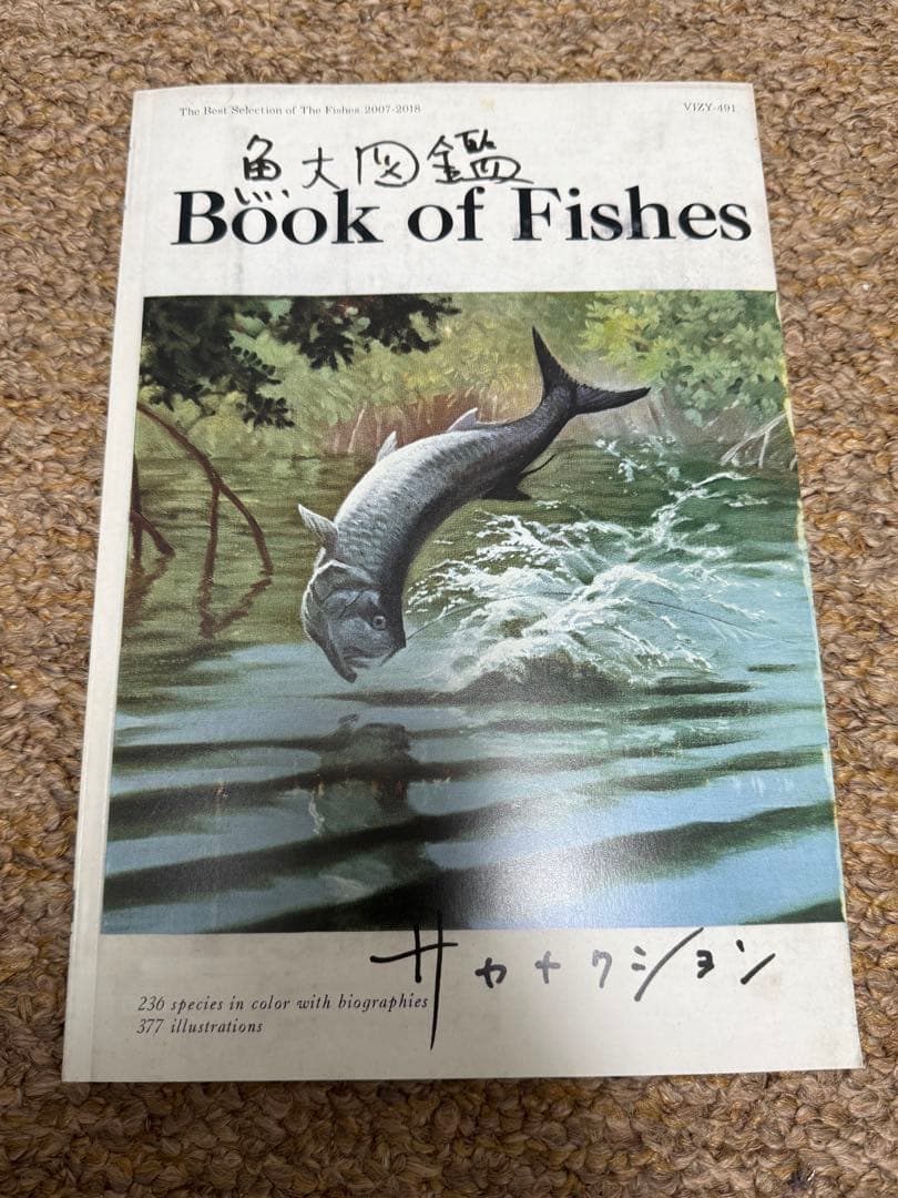 サカナクション　ベストアルバム　魚大図鑑　冊子のみ