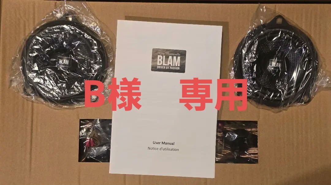BLAM (ブラム) BM 100 S 専用スピーカーキット