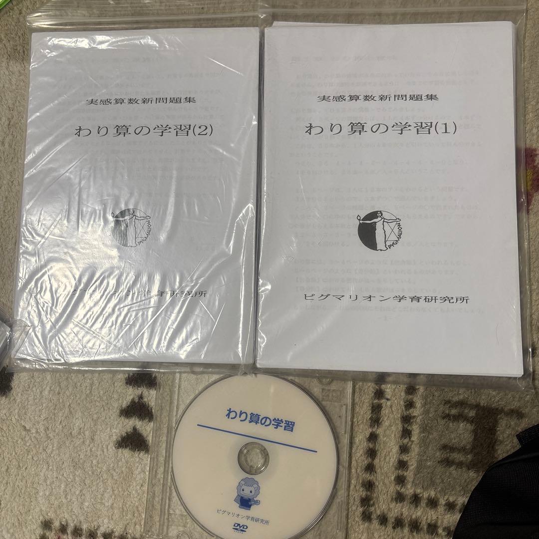 はくせいさん専用ピグマリオン　、割り算、小数、分数セット