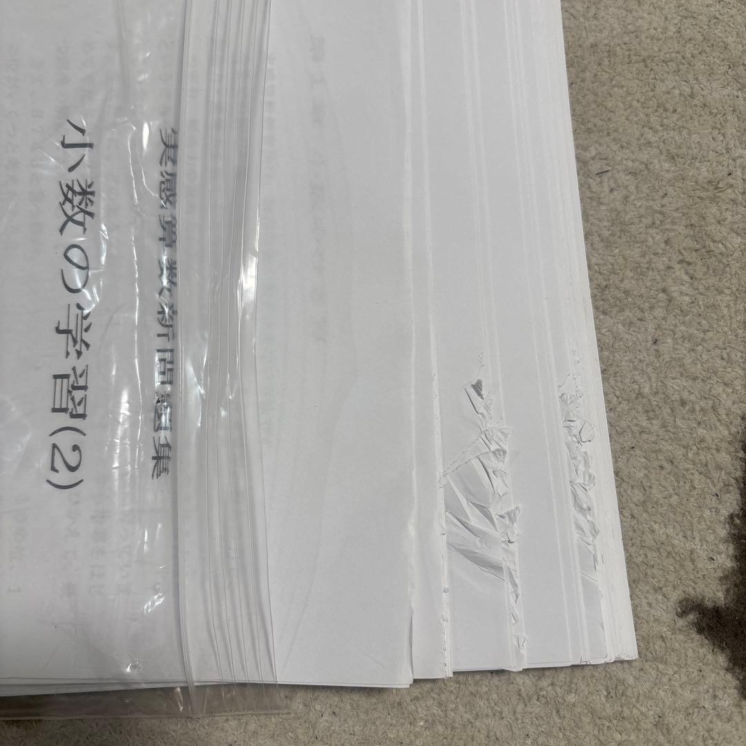 はくせいさん専用ピグマリオン　、割り算、小数、分数セット