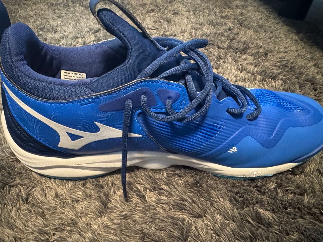 Mizuno ウェーブモーメンタム 3 Mid 29cm