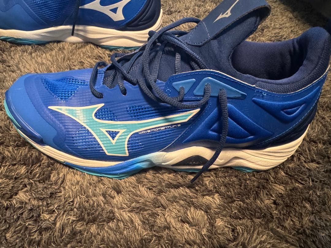 Mizuno ウェーブモーメンタム 3 Mid 29cm