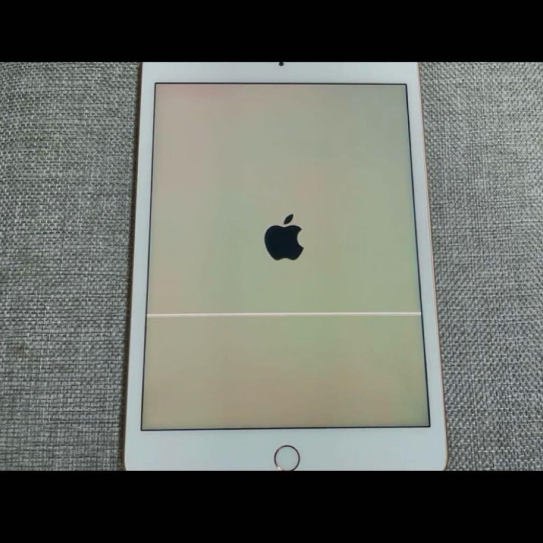 【ジャンク】Apple iPad mini (第5世代) 256GB