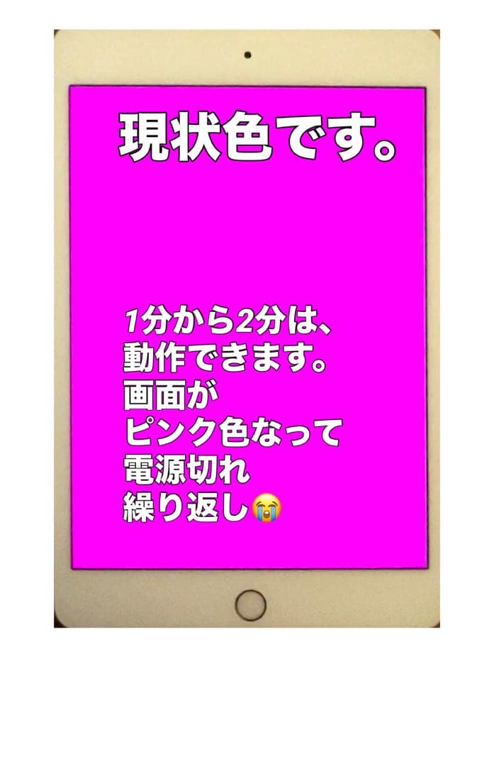 【ジャンク】Apple iPad mini (第5世代) 256GB