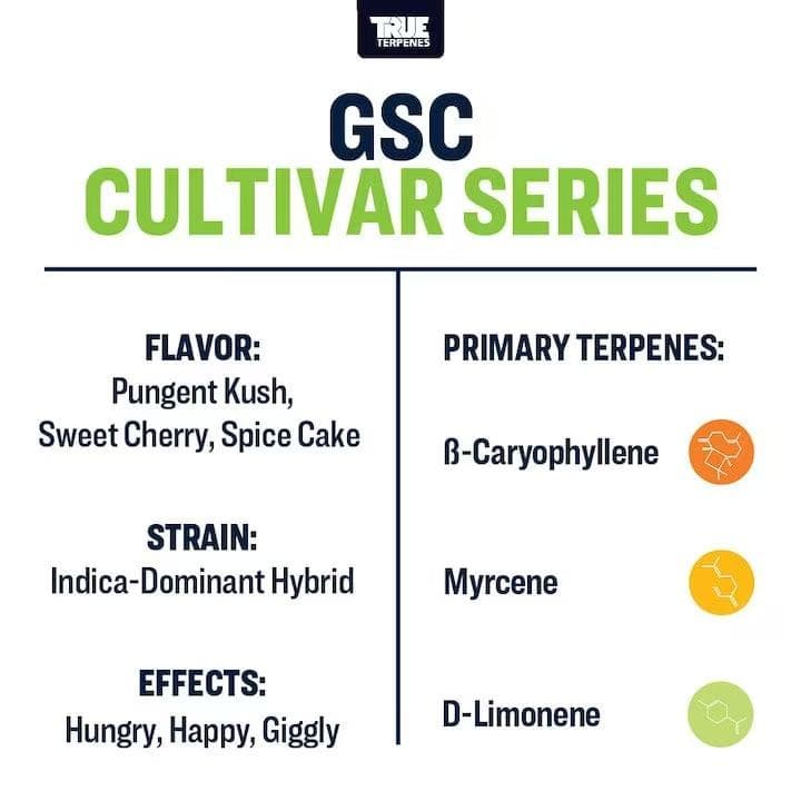 TRUE テルペン 香料 CBD CBN 10ml ガールズスカウトクッキー