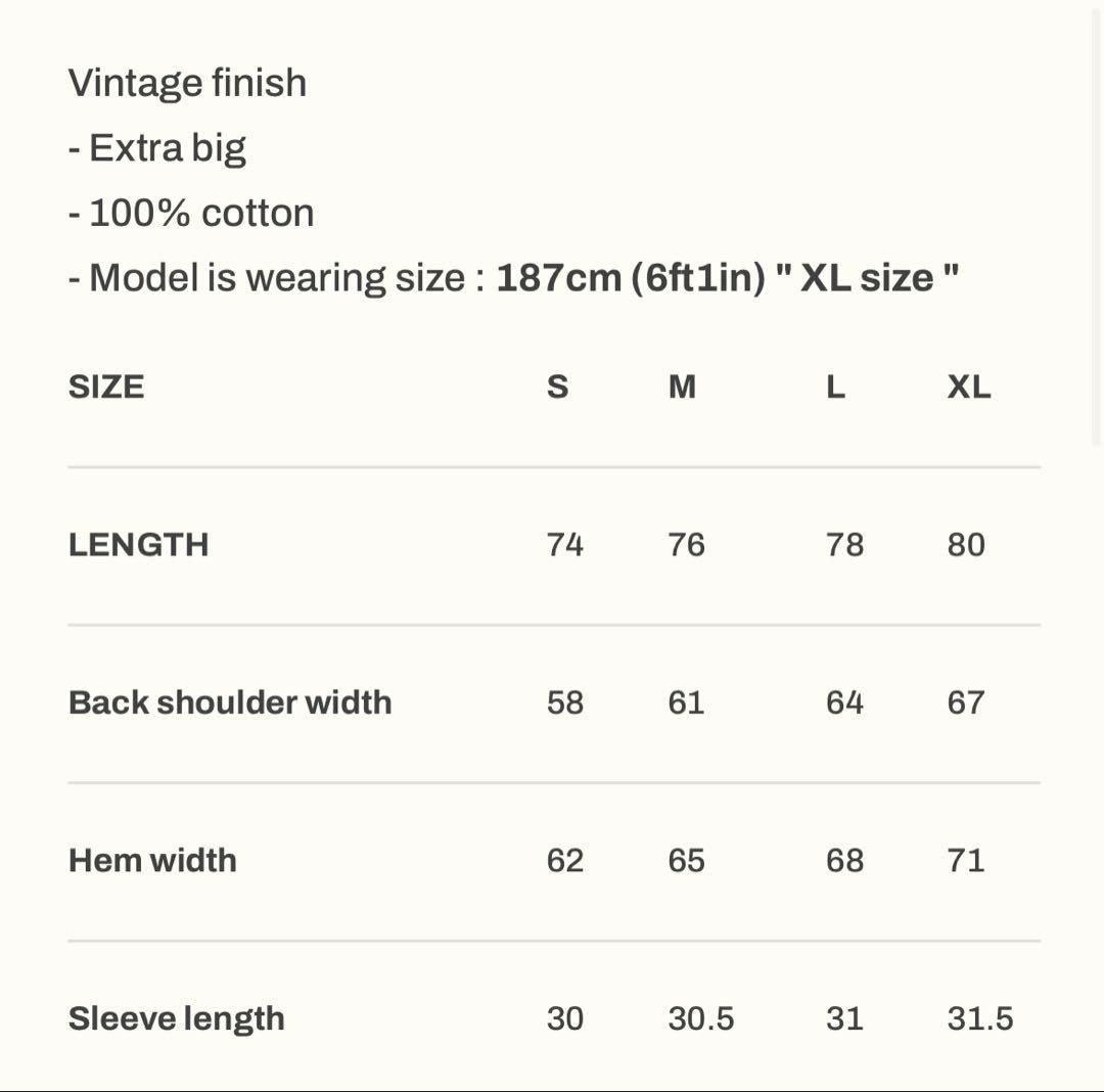 横川着用 LÝFT FANG GRAPHIC VINTAGE Tシャツ M