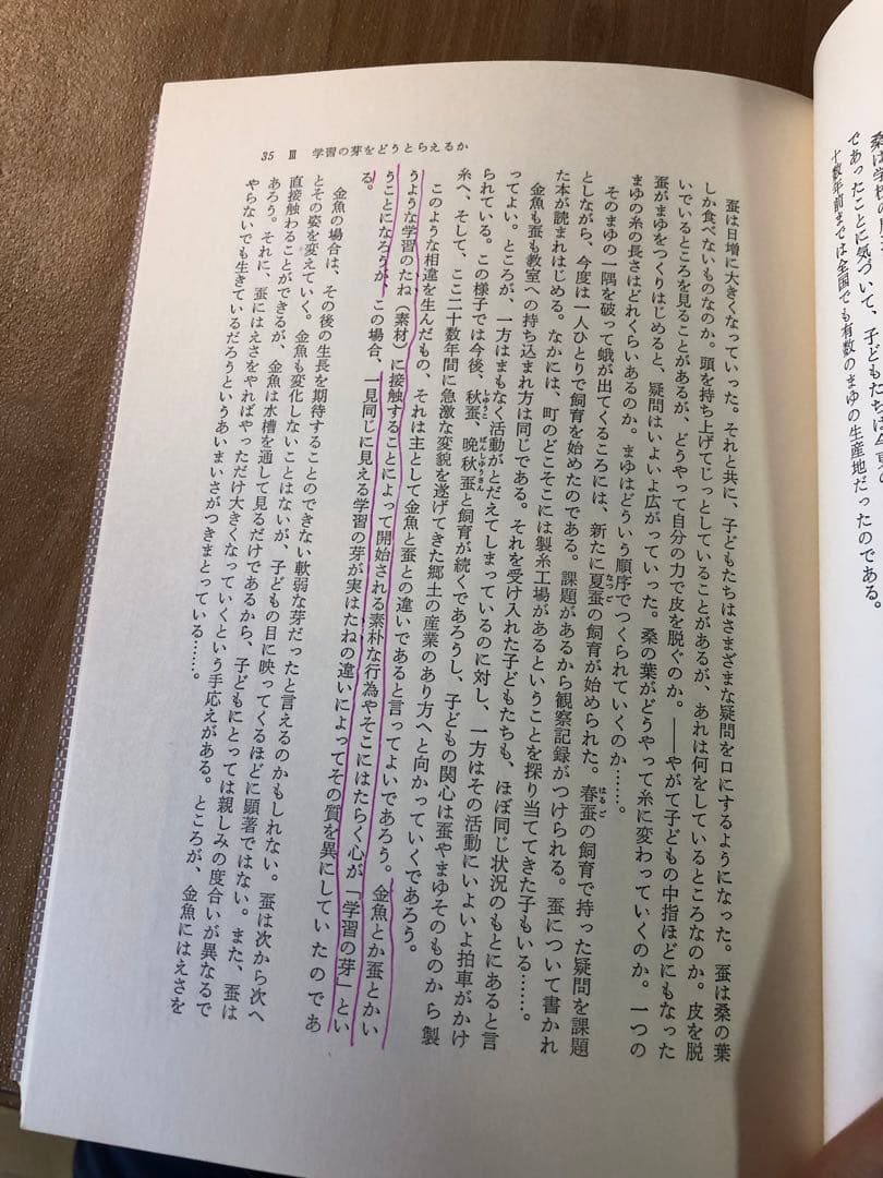 【絶版　超貴重】三枝孝弘指導　長野県伊那市立伊那小学校『学ぶ力を育てる』