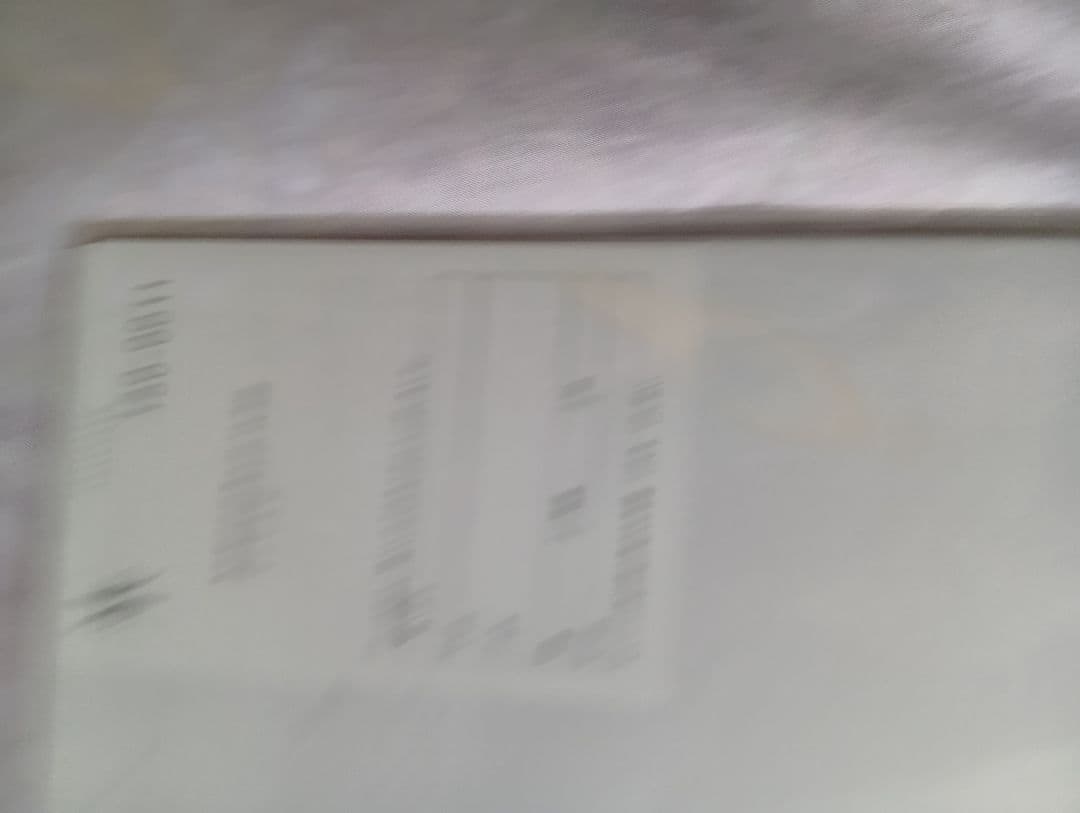 中平卓馬 タブロイド　新品 　OSIRIS　激レア