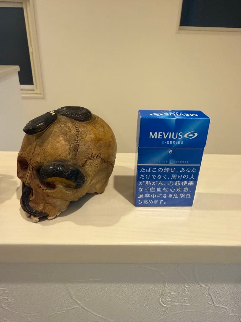 髑髏蛇レトロ置物スカルと蛇の彫刻 陶器