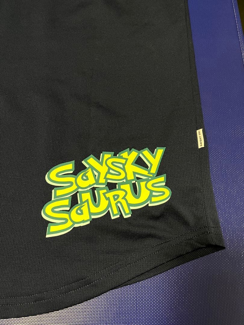 AMINOSAURUS &SAYSKYランニングウェア【中古美品】【サイズXS】