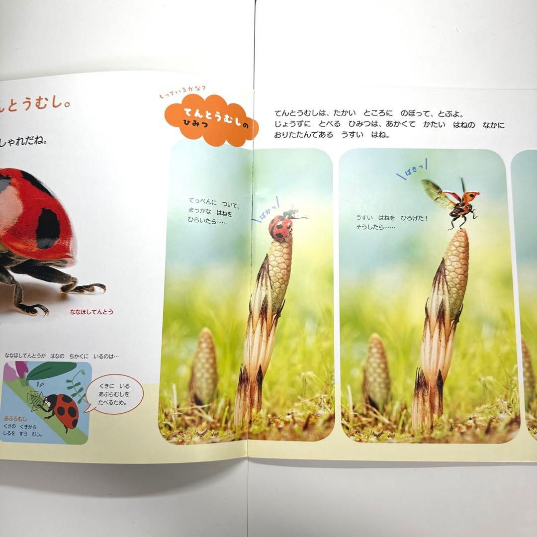 【2点購入150円引】おはなしワンダー　いいな「じぶん」！　くすのきしげのり