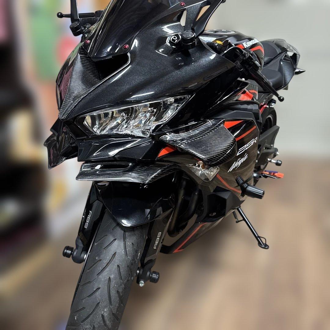 専用　カワサキZX25 R用サイドカーボンウイング