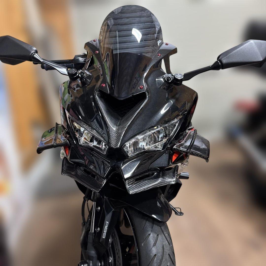 専用　カワサキZX25 R用サイドカーボンウイング