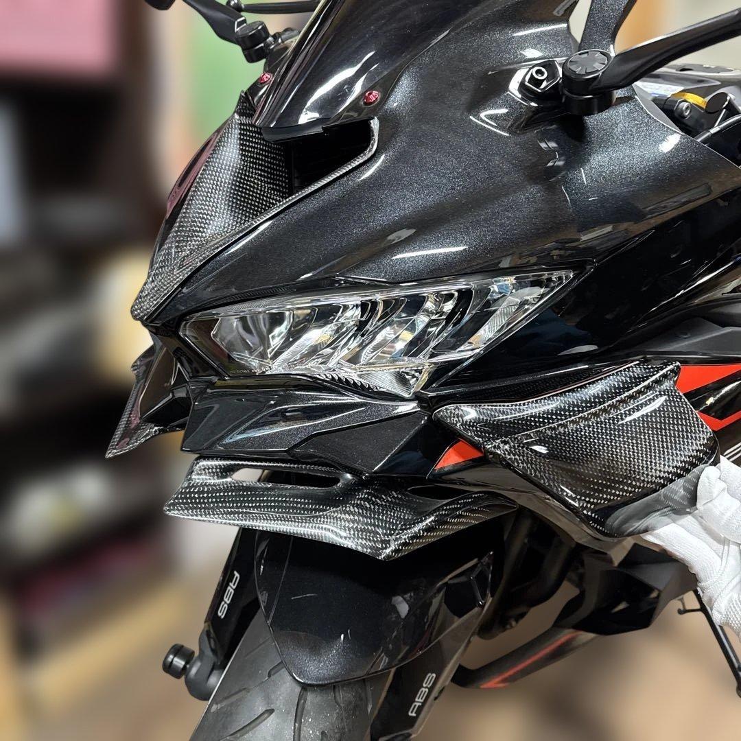 専用　カワサキZX25 R用サイドカーボンウイング