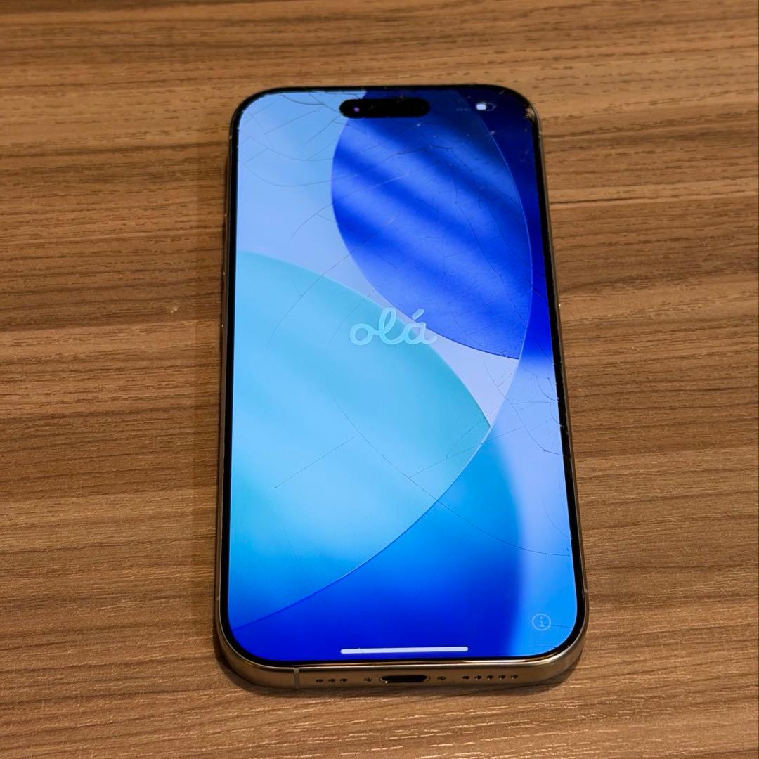 即購入◎iPhone16Pro 本体 256GB ケース付き✨