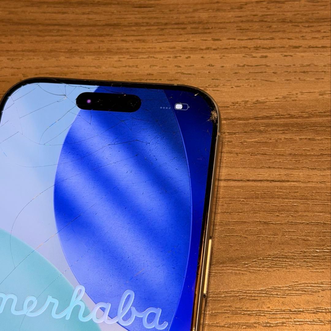 即購入◎iPhone16Pro 本体 256GB ケース付き✨