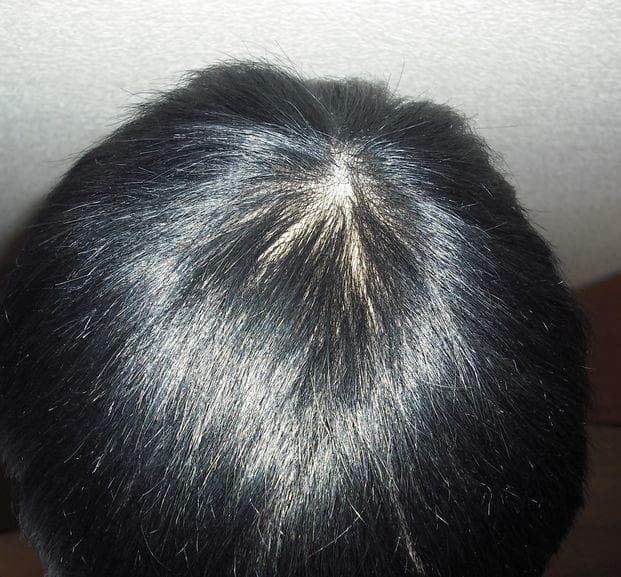 ひ*ん様 新品 マルチカバー　カット調整済み　２５㎝X２０㎝ 　ハサミで切れます