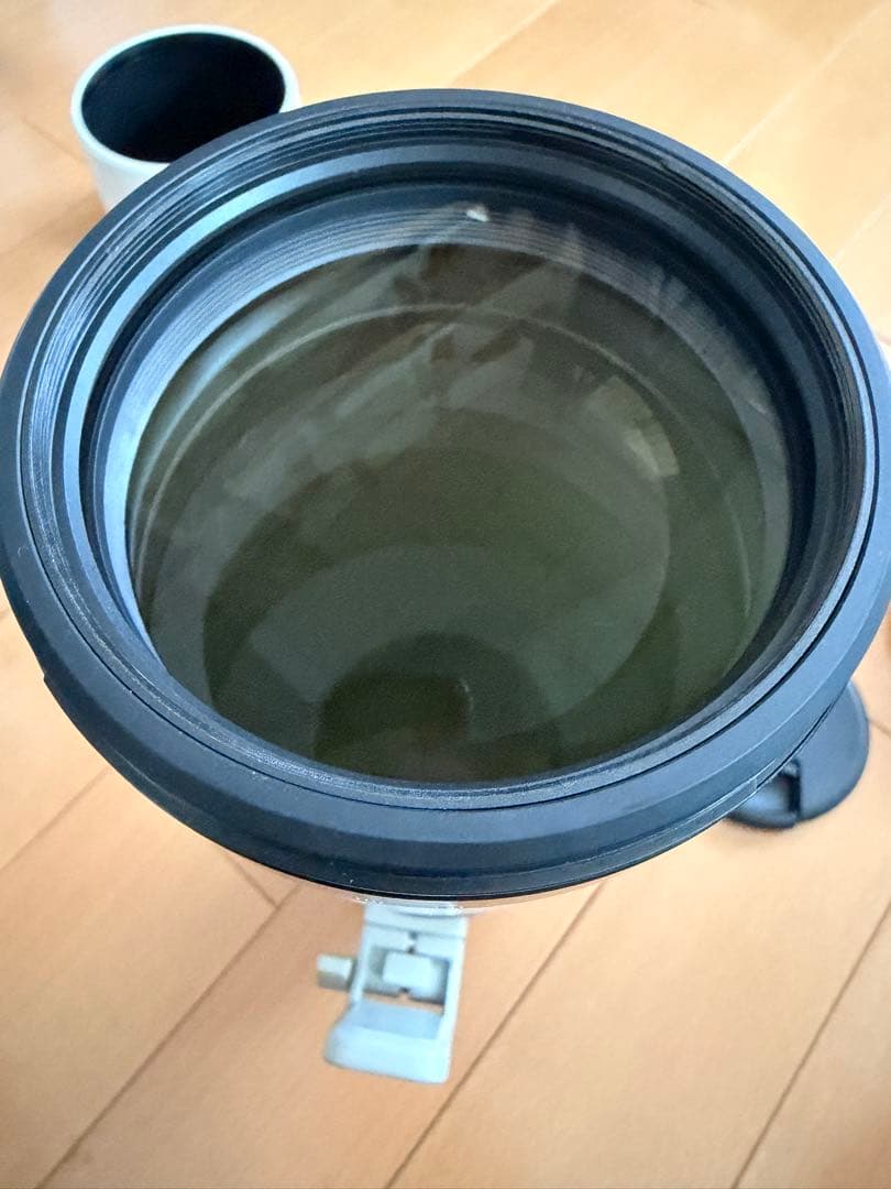 レンズ(ズーム) Sony FE 200-600mm F5.6-6.3 G OSS