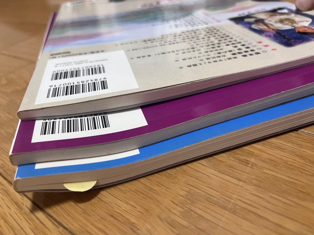 敦煌 二胡 ケース付き