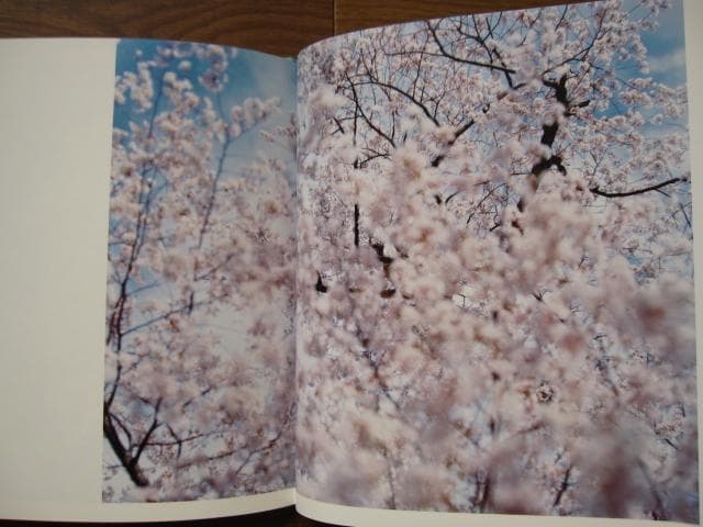 hysteric Eight　鈴木理策　Risaku Suzuki　直筆サイン