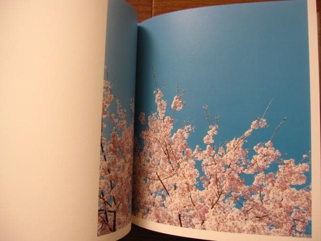 hysteric Eight　鈴木理策　Risaku Suzuki　直筆サイン