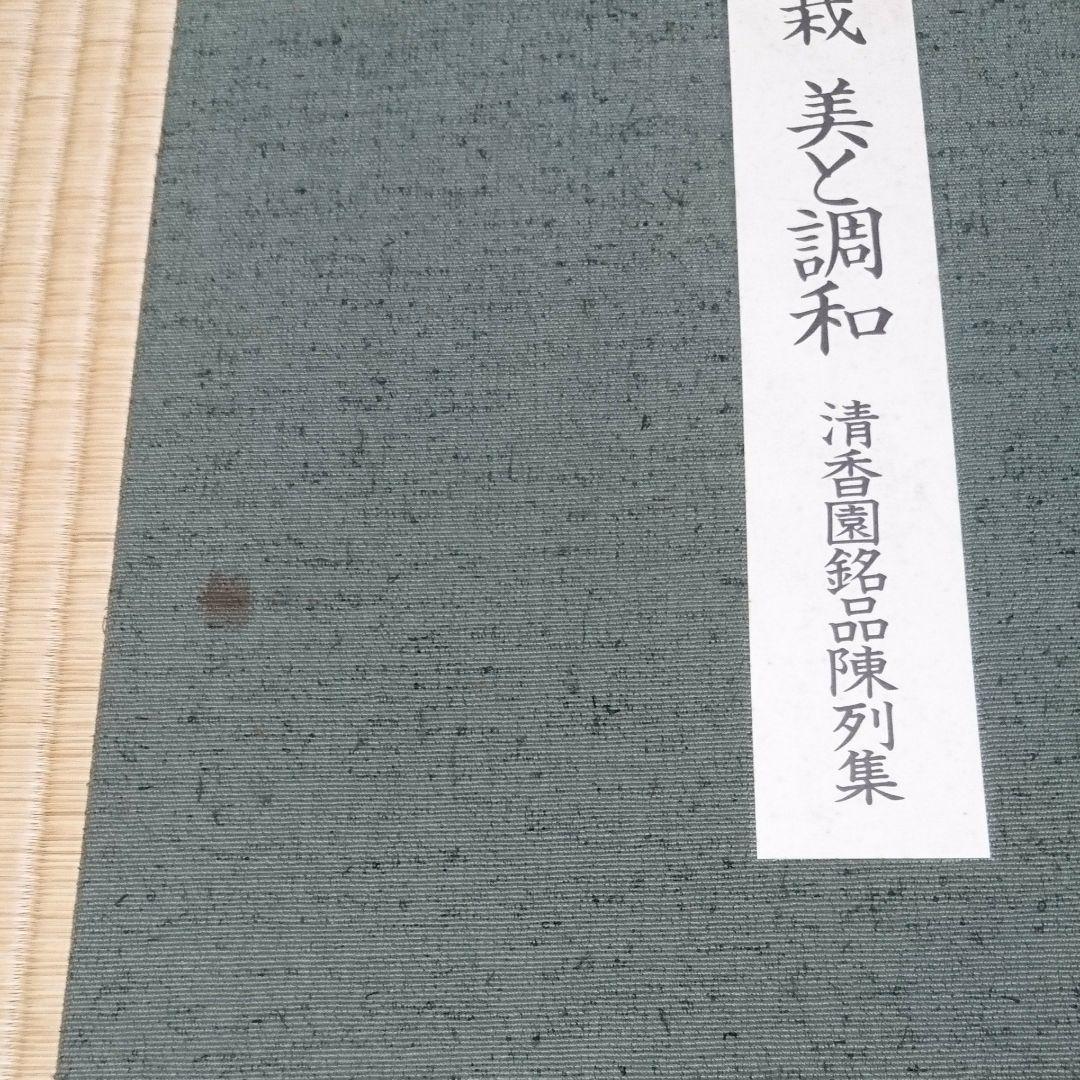 植木　　盆栽 美と調和 清香園銘品陳列集