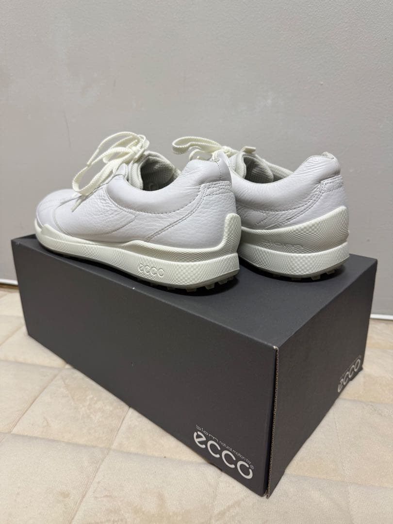 エコー　ゴルフシューズ