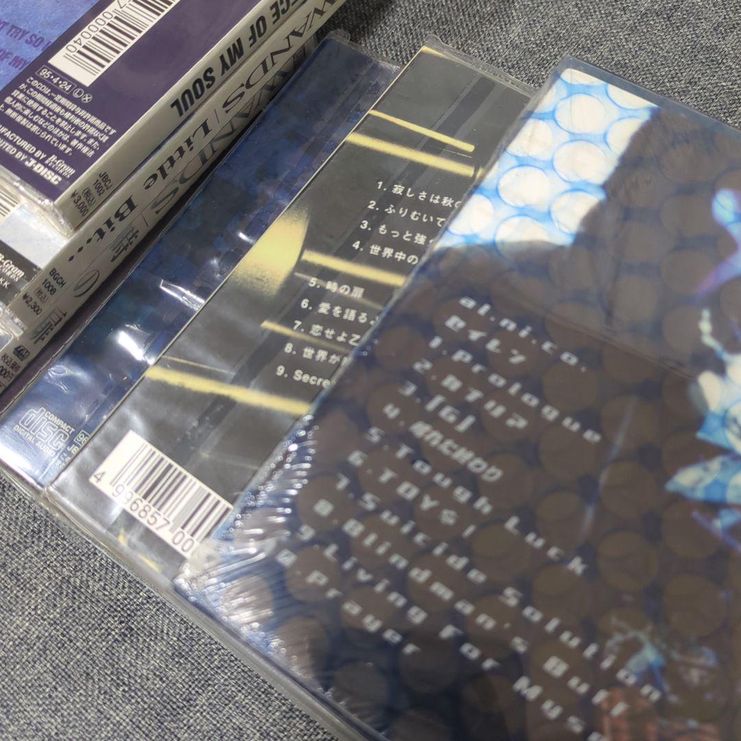 邦楽 WANDS CD