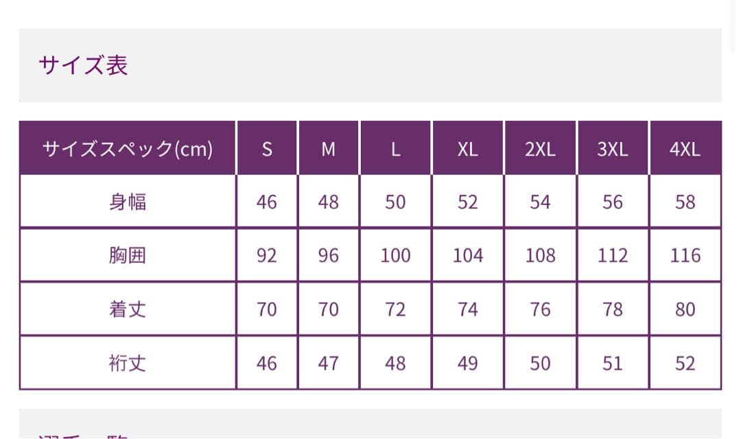 た*ん様 京都サンガ　2025 限定ユニホーム　Puma サッカーウェア Lサイ