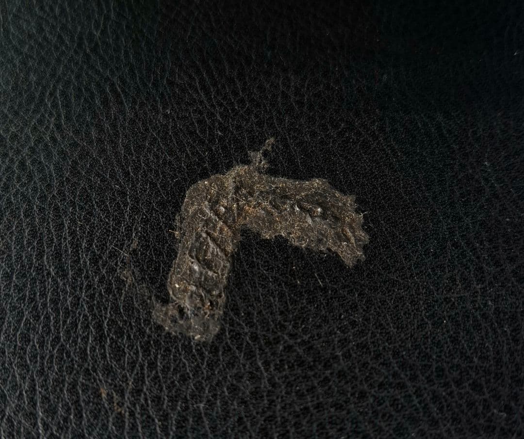 NV350 CARAVAN PREMIUM GX E26 ベッドキット