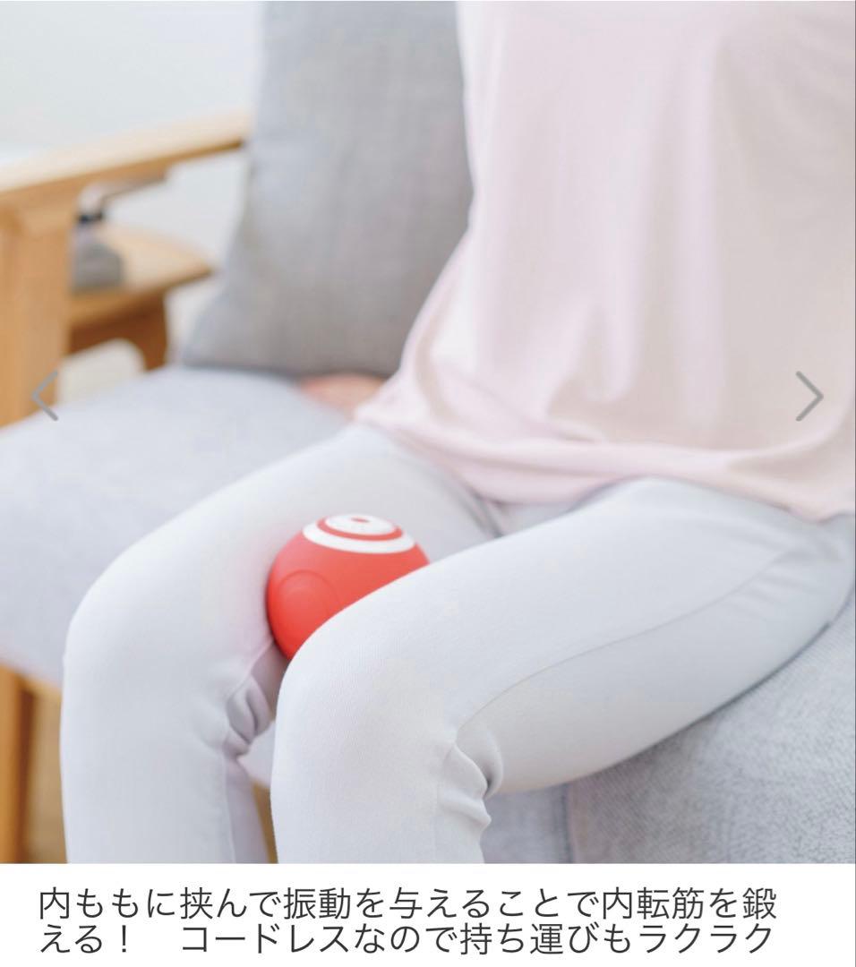 フィットネスクラブが つくった 内ももトレーニング！ スタイリーボール