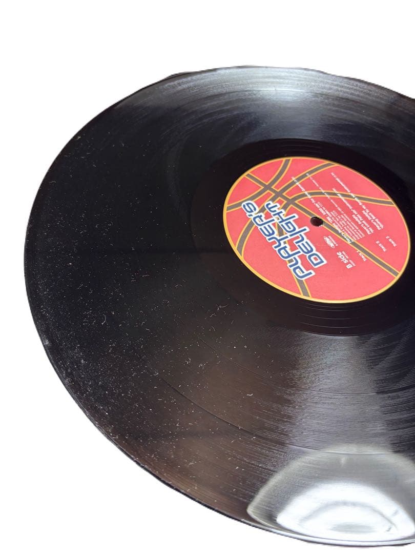 激レア　希少　Zeebra Dev Large Player's Delight