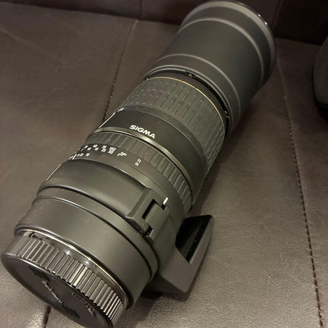 SIGMA 170-500mm APO Canon 一眼レフ　望遠レンズ