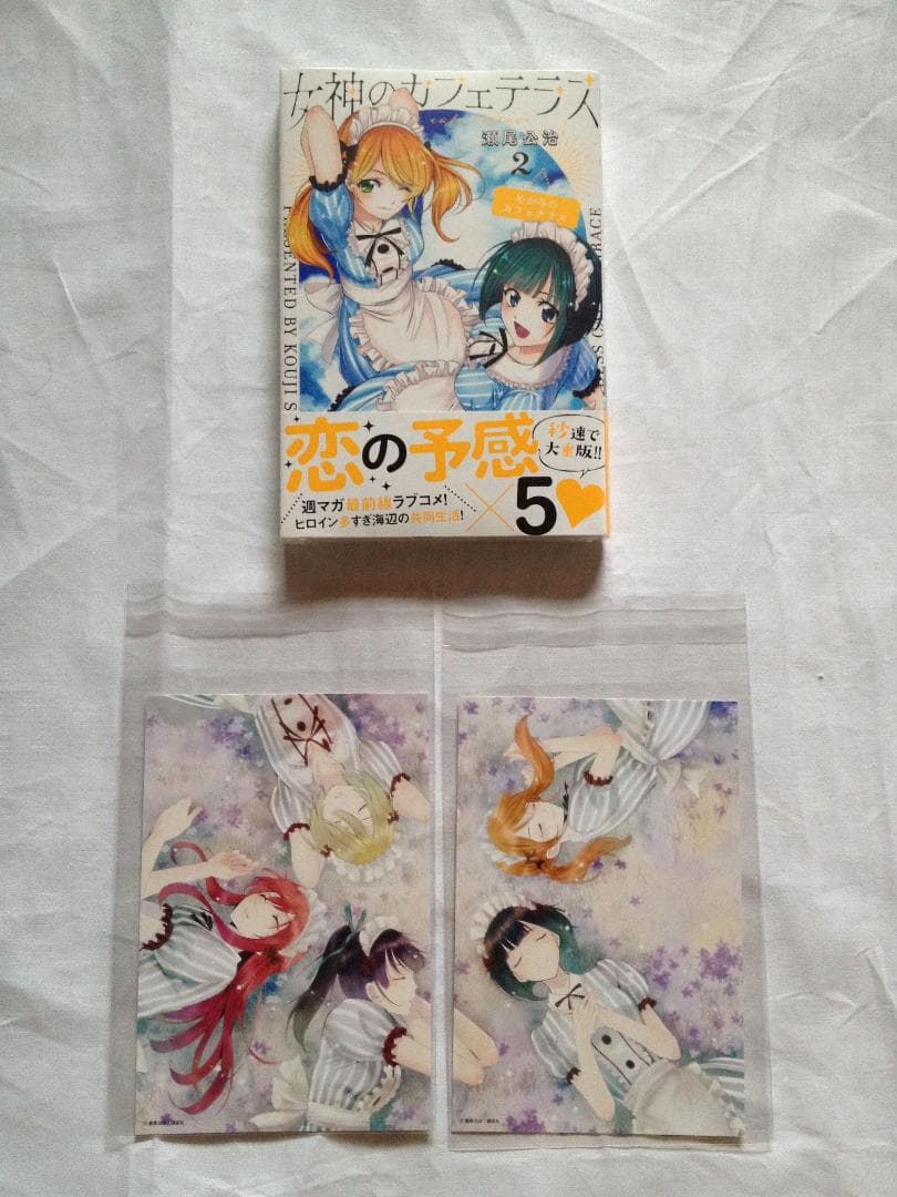 瀬尾公治作品 直筆サイン・イラスト入り 抽プレ冊子 店頭特典