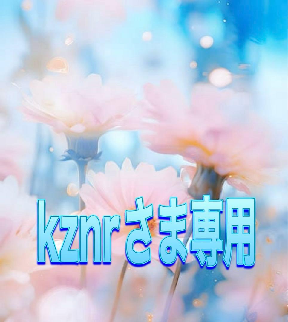 kznrさま専用‼️4個 浄水器専用水栓 交換用 浄水カートリッジ JF-53