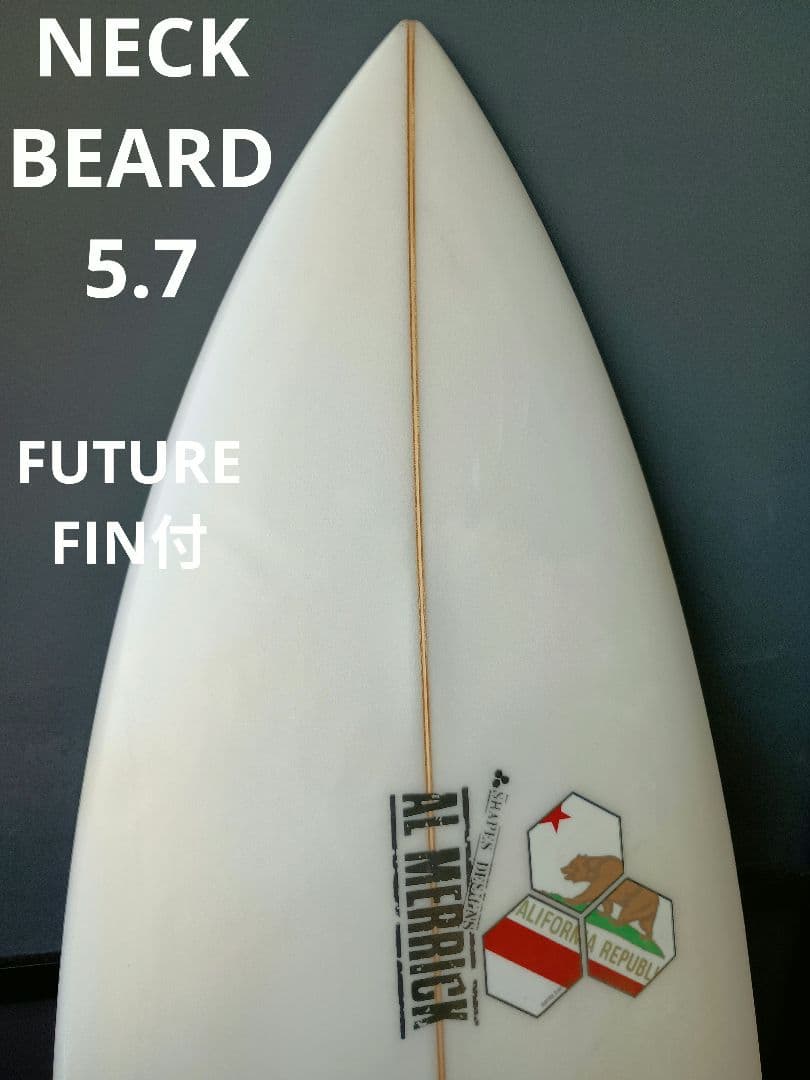 ★５．７ NECKBEARD FUTUREフィンセット　２９L