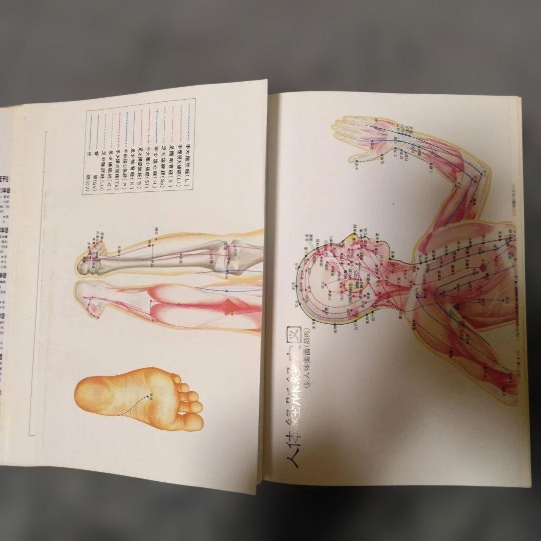 図説 東洋医学 経穴編