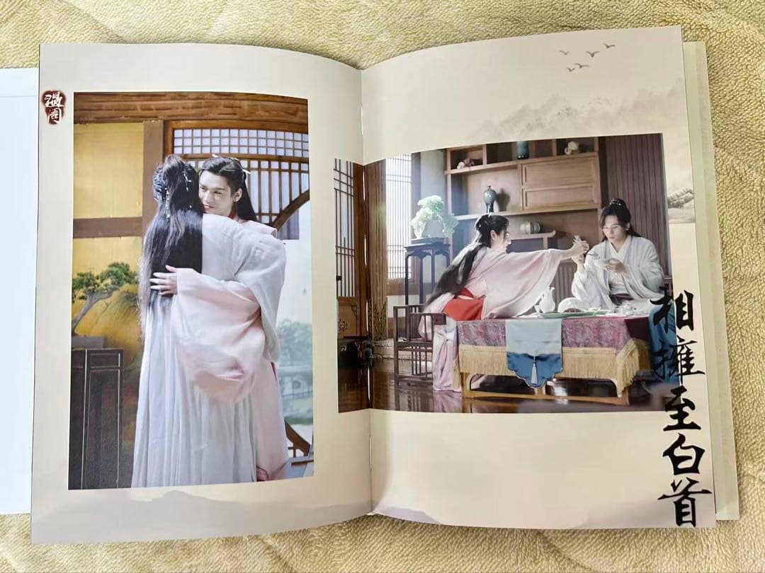 山河令 張哲瀚 龚俊 写真集　超希少 特典付き