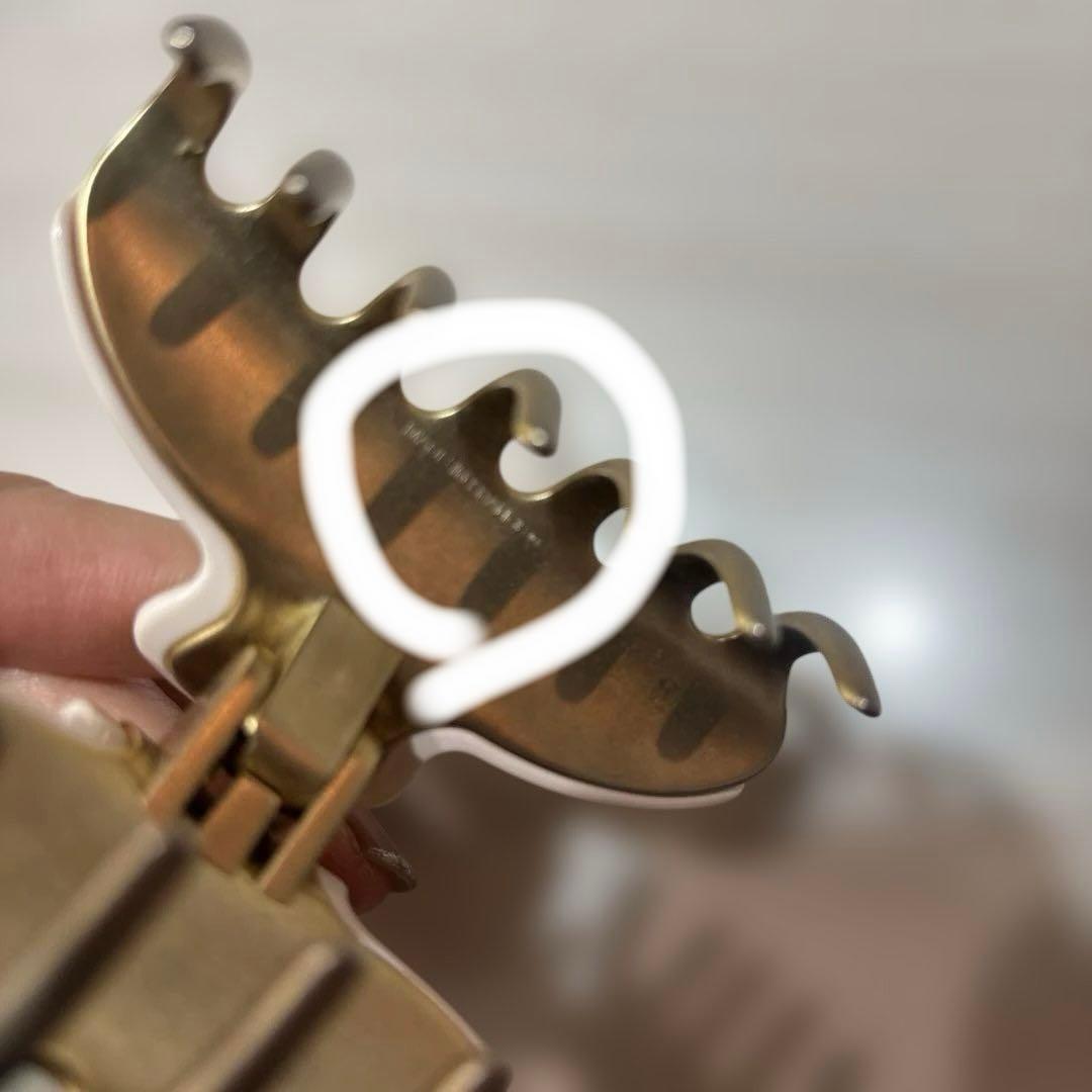 美品⭐️アレクサンドル⭐️クリップ⭐️ ALEXANDRE DE PARIS