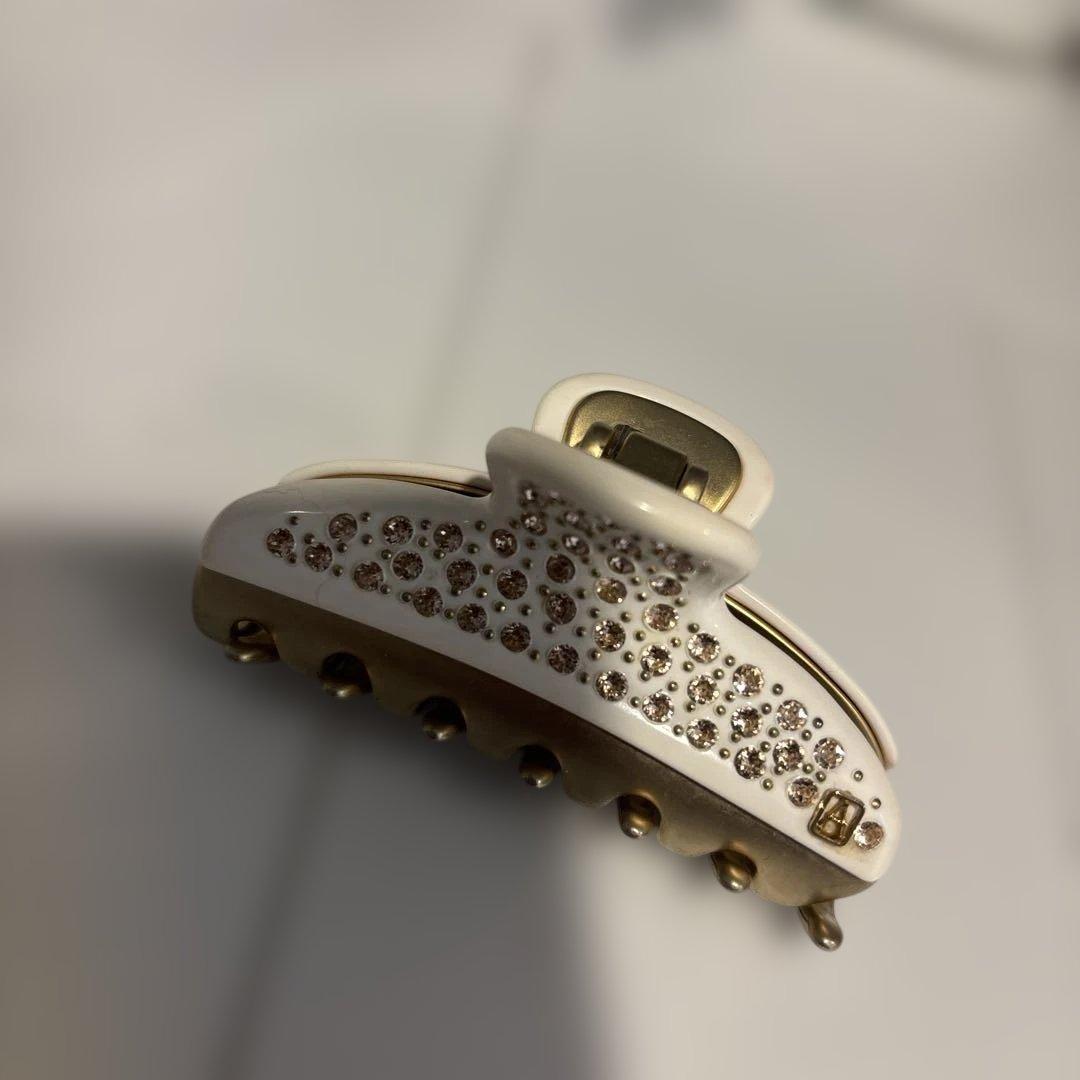 美品⭐️アレクサンドル⭐️クリップ⭐️ ALEXANDRE DE PARIS
