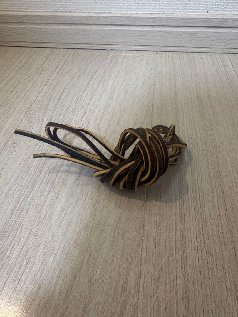 コ*ウ様 レッドウィング redwingアイリッシュセッター　カスタム