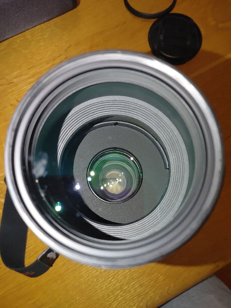 SIGMA APO 150-500mm F5-6.3 canon EFマウント