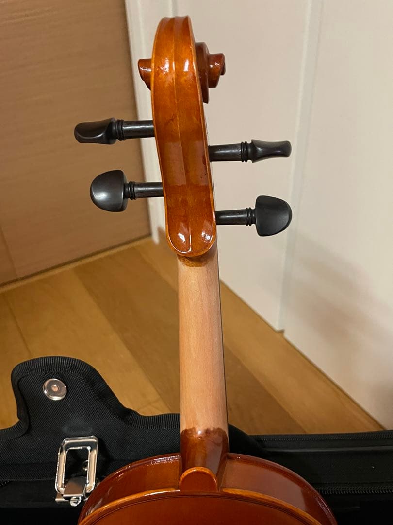 Eastman SVL80セット 4/4 バイオリン