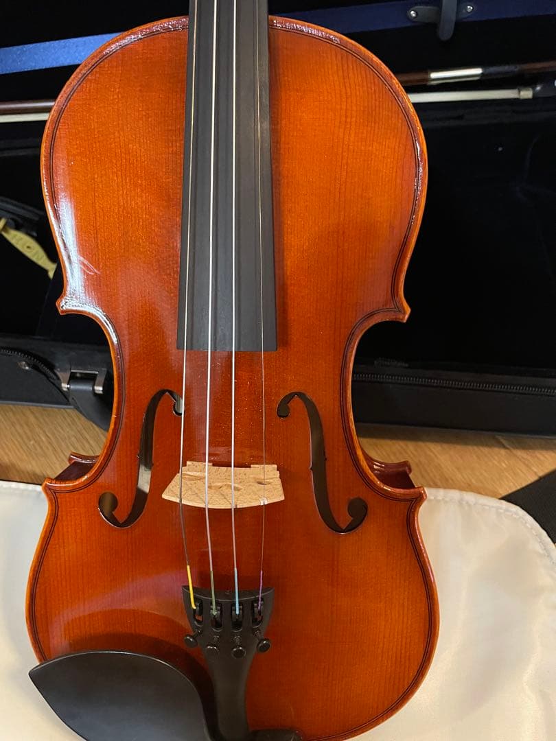 Eastman SVL80セット 4/4 バイオリン