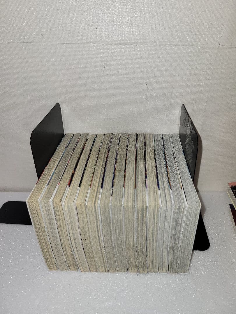 新機動戦記ガンダムW Endless Waltz 敗者たちの栄光　全巻セット