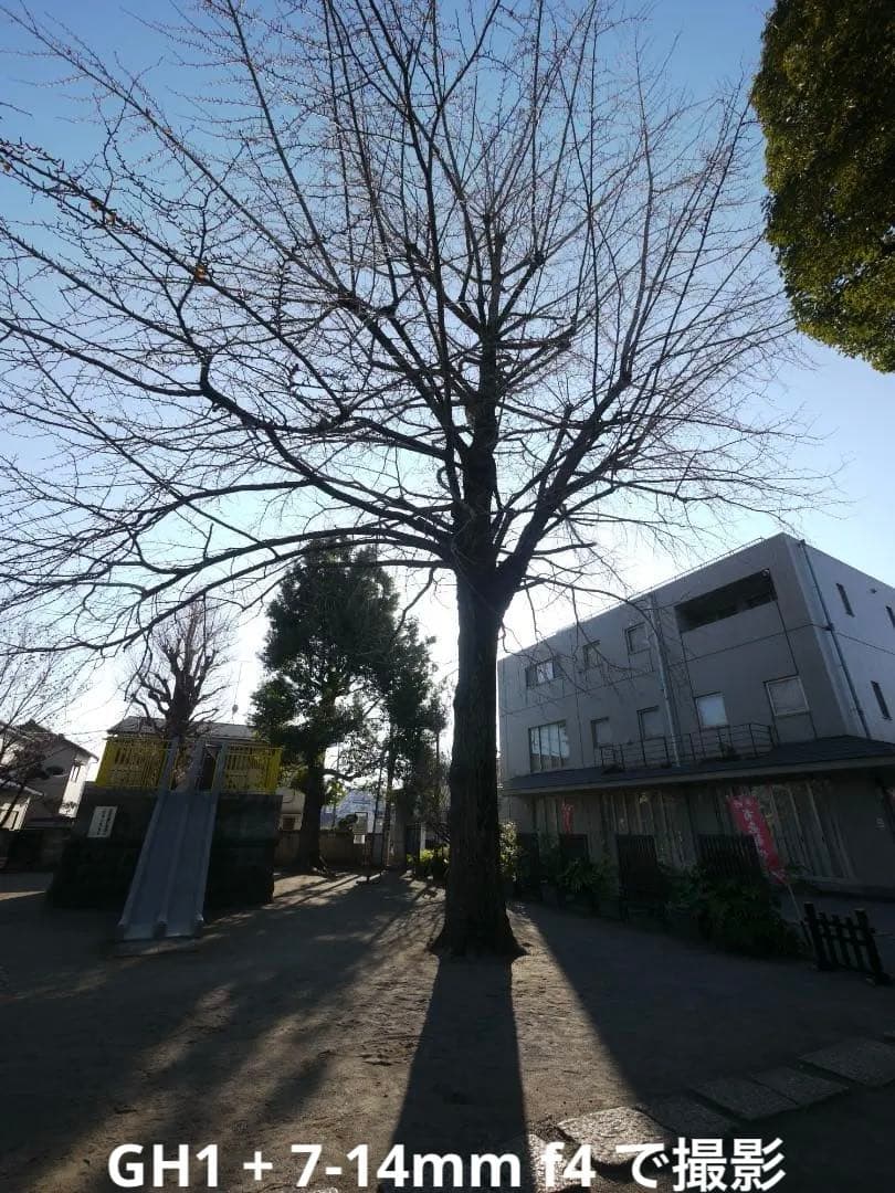 【極美品/光学クリア】LUMIX G VARIO 7-14mm F4.0