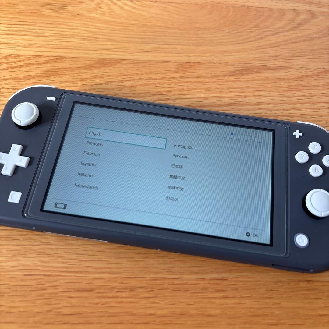 ジャンク品　Switch Lite